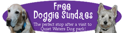 Doggie Sundae graphic